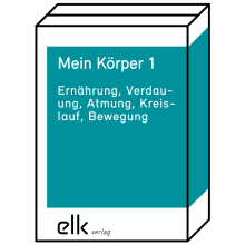 Mein Körper 1 – Paket-1520-gruppe, 