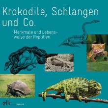 Krokodile, Schlangen und Co. – Magazin-1625, 