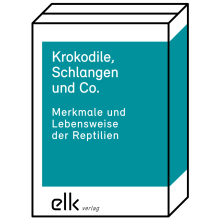 Krokodile, Schlangen und Co. – Paket-1627-gruppe, 