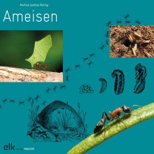 Ameisen – Magazin-1637, 