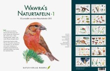 Wawra's Naturtafeln Set 1-0026, 