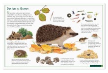 Naturtafel Der Igel im Garten-0070, 