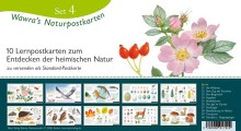 Wawra's Naturpostkarten Serie 4-0154, 