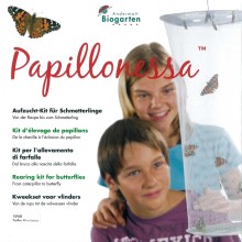 Papillonessa-0700, 