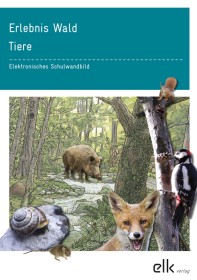 Erlebnis Wald – Tiere – Elektronisches Schulwandbild-2814, 