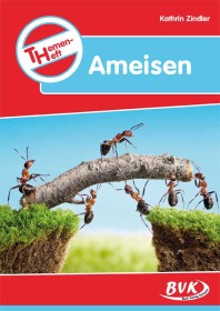 Ameisen-6554, 